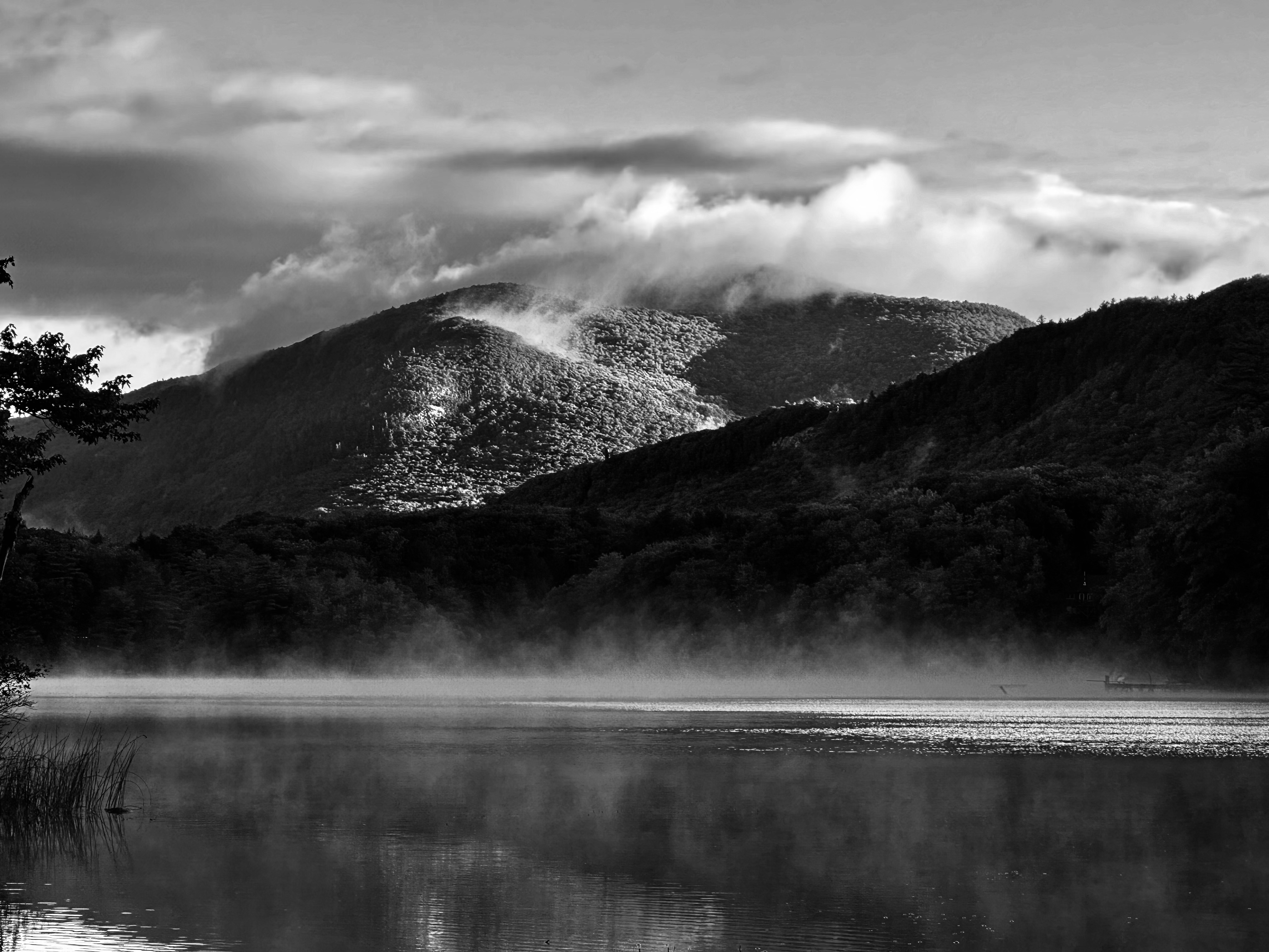 Charter fishing trip